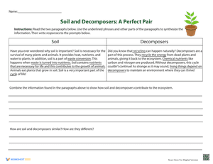 Soil and Decomposers: A Perfect Pair