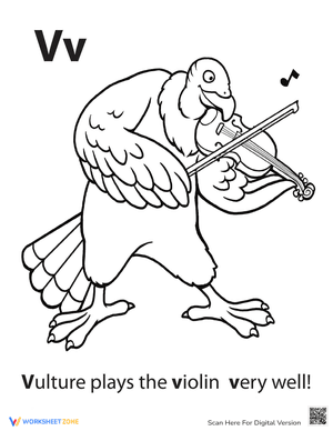 Violin Vulture