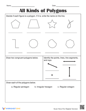 All Kinds of Polygons