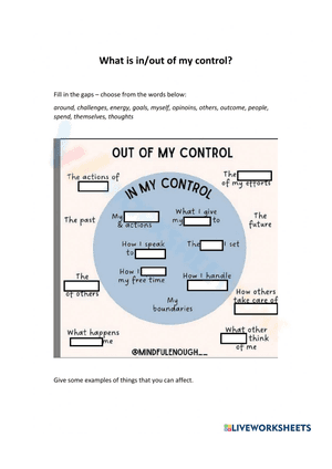 What is in-out my control worksheet