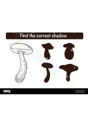 Find the correct mushroom