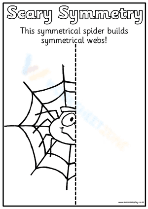 Scary Spider Web Symmetry