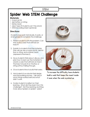 Spider web STEM activity