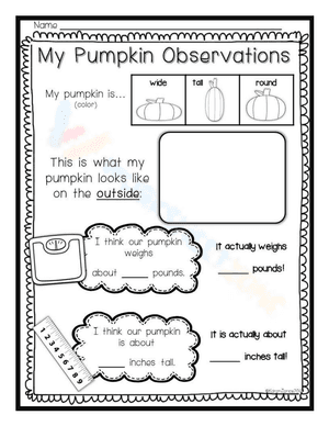 My Pumpkin Observations