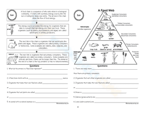 Food Webs, and Energy Pyramid worksheet