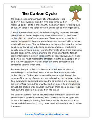 The Carbon Cycle Reading