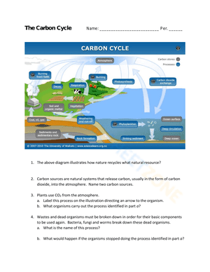 The Carbon Cycle Practice
