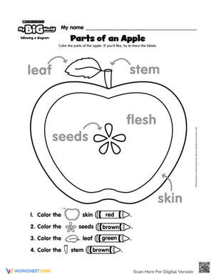 Parts of an Apple Coloring