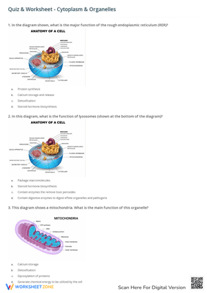 Cytoplasm and Organelles