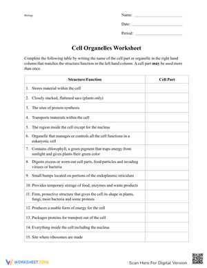Cell Organelles Worksheet
