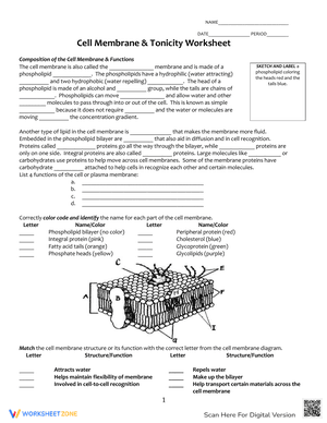 Cell Membrane and Tonicity Worksheet