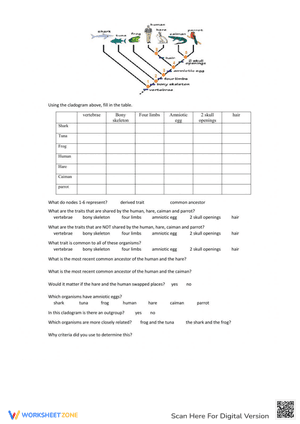 Cladogram Practice Worksheet