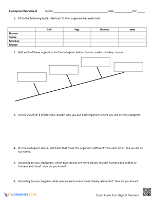 Cladogram Worksheet 2