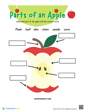 All about An Apple Worksheet