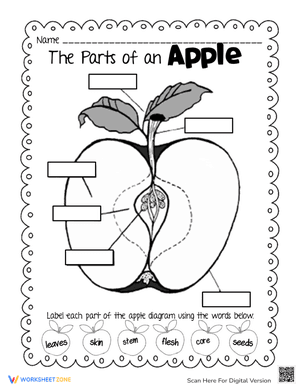 The Parts of an Apple Worksheet