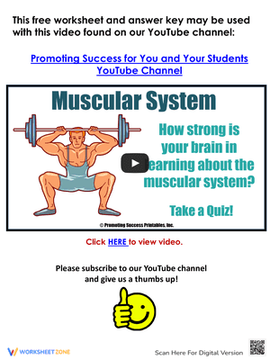 Muscular System Worksheet Video Quiz
