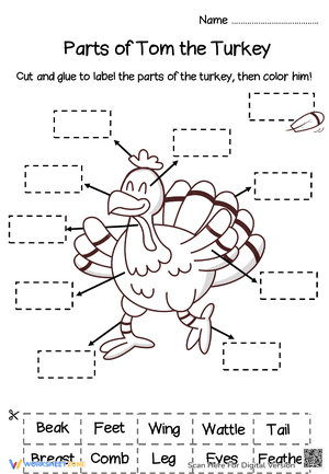 Parts of Tom the Turkey 2