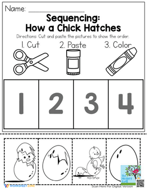 Sequencing - How a Chick Hatches
