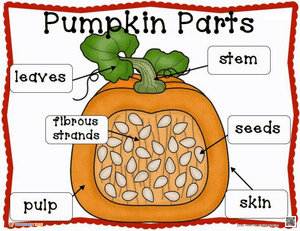 Pumpkin Parts Poster 1