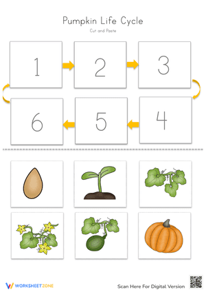 Pumkin Life Cycle - Cut and Paste Activity 1