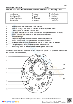 The Animal Cell Quiz