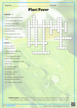 Plant Power Crossword Puzzle