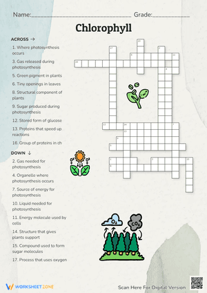 Chlorophyll Crossword Puzzle