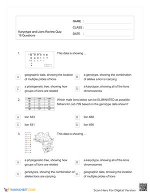 Karyotype and Lions Review Quiz
