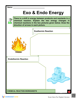 Endothermic and Exothermic Reactions for Kids