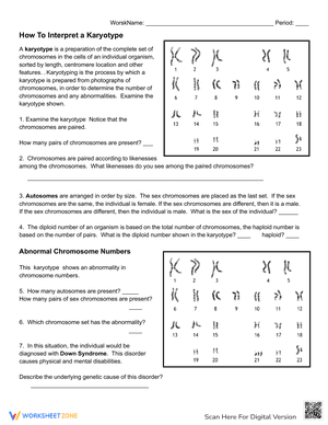 How to Interpret a Karyotype