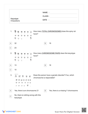 Karyotype Worksheet with Answer