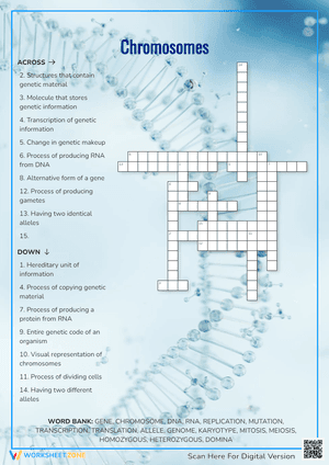 Chromosomes Crossword Puzzle