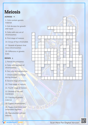 Meiosis Crossword Puzzle
