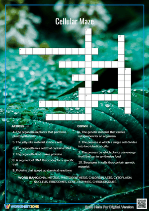 Cellular Maze Crossword Puzzle