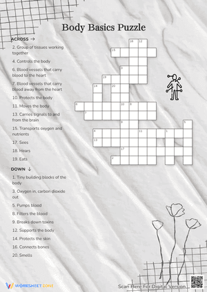 Body Basics Puzzle Crossword 