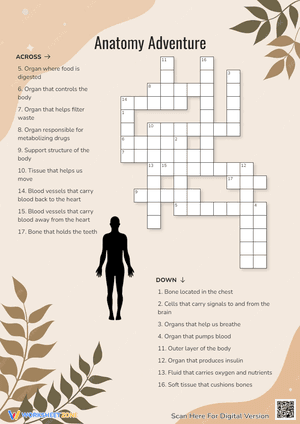 Anatomy Adventure Crossword Puzzle