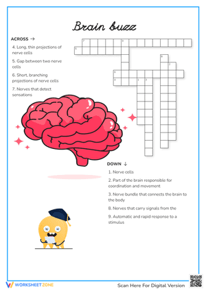 Brain Buzz Crossword Puzzle