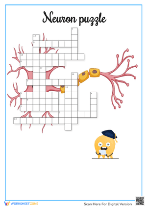 Neuron Puzzle Crossword Puzzle