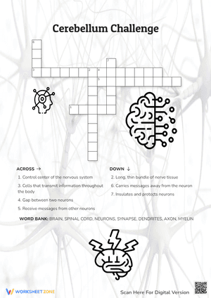 Cerebellum Challenge Crossword Puzzle