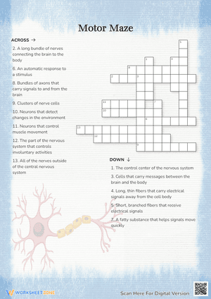 Motor Maze Crossword Puzzle