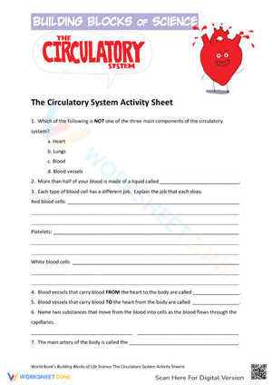 Circulatory Activity Sheet