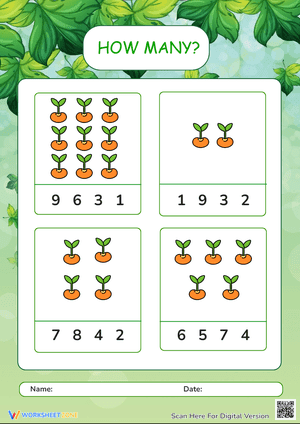How many counting game with seeds