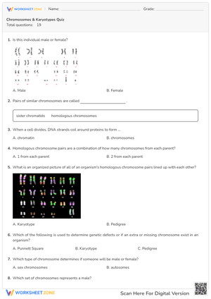 Chromosomes & Karyotypes Quiz