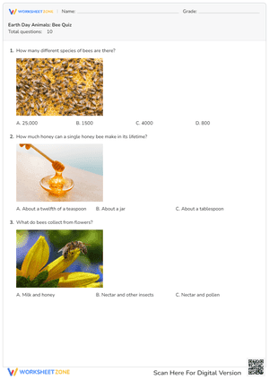 Earth Day Animals: Bee Quiz